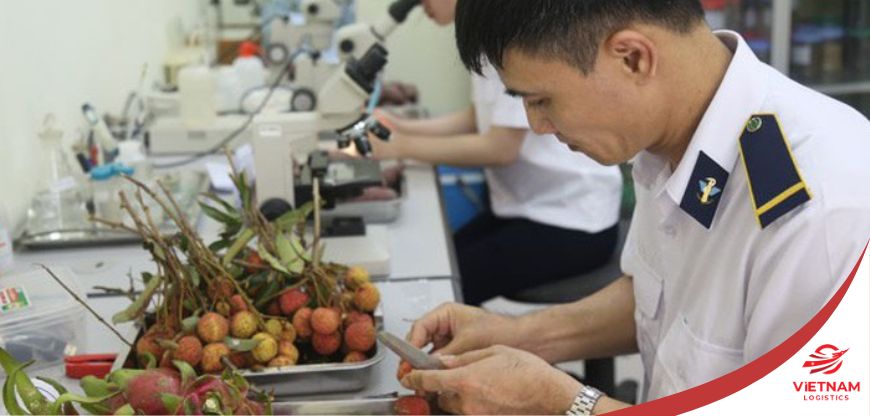 Kiểm tra chuyên ngành là gì? Danh mục hàng hoá cần kiểm tra chuyên ngành
